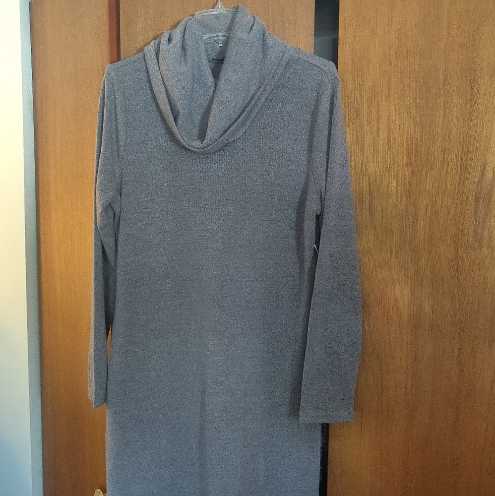 Banana Republic Sweater dress